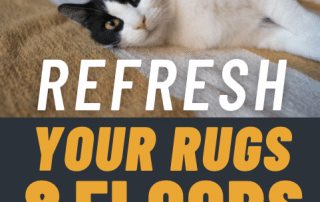 Refresh Your Rugs & Floors 5