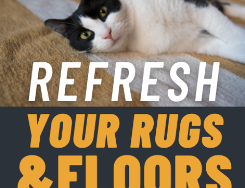 Refresh Your Rugs & Floors