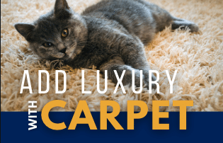 Add Luxury With Carpet! 1