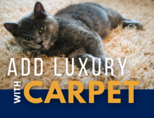 Add Luxury With Carpet!