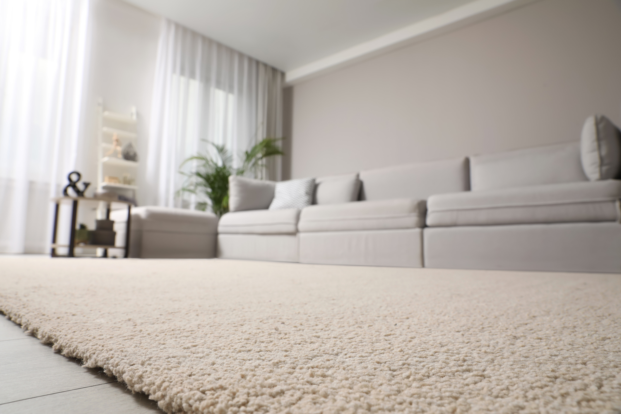 Carpeting 1