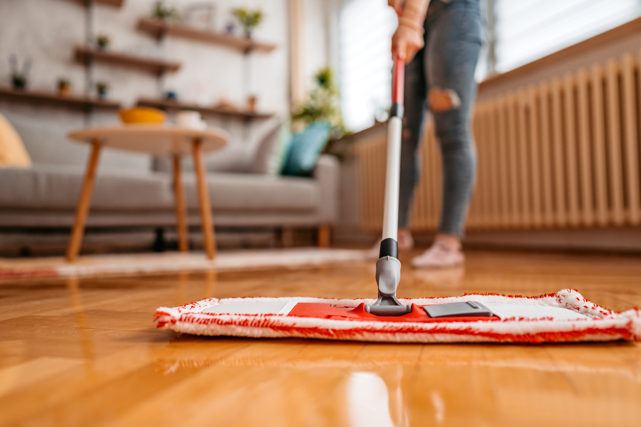 Floor Care and Maintenance 1